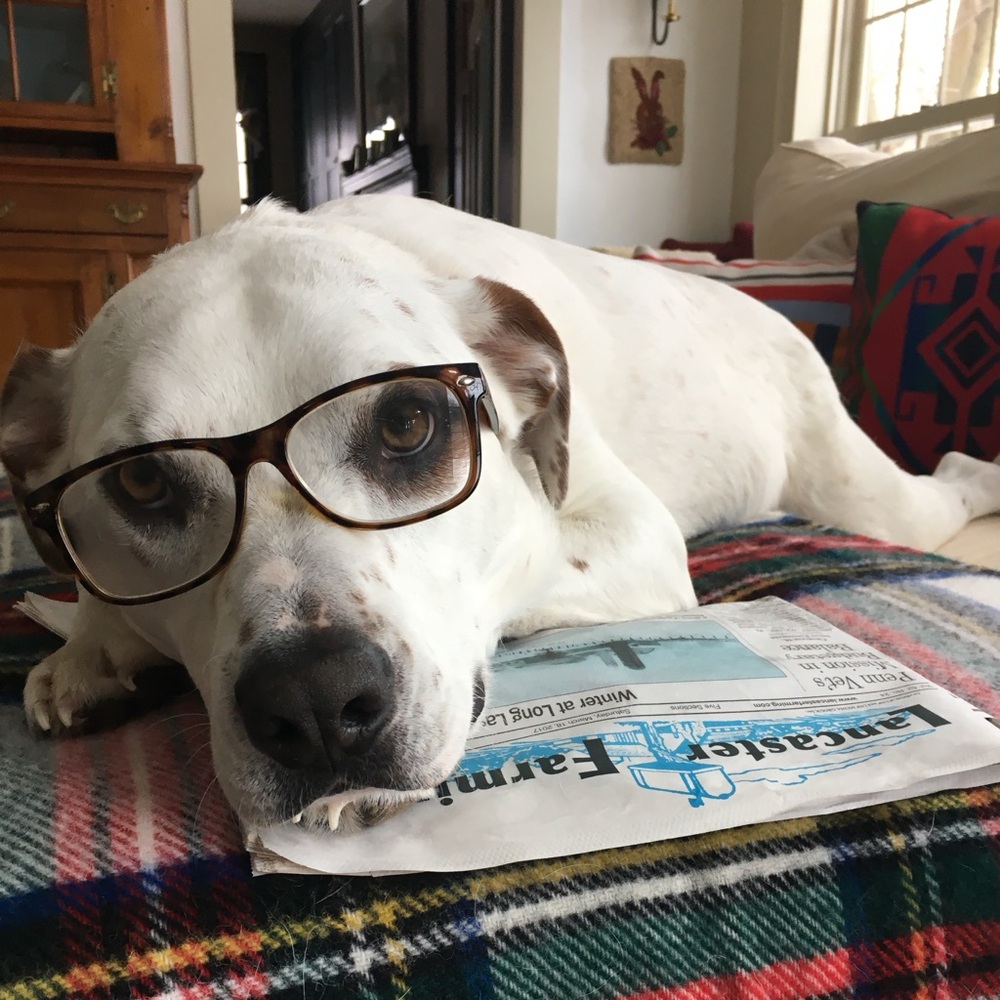 Meet your Posher, Holly